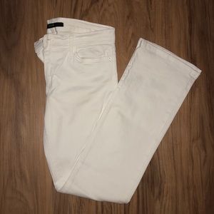 Joes Jeans (petite bootcut)